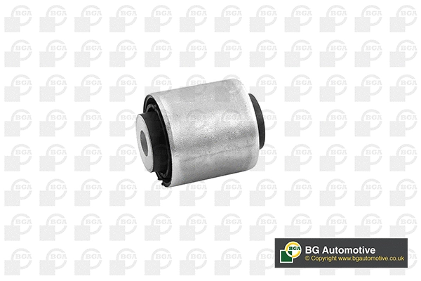 Mounting, control/trailing arm (BU0936)