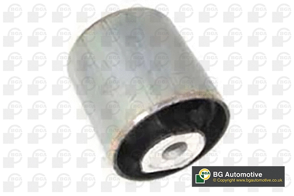 Mounting, control/trailing arm (BU4231)