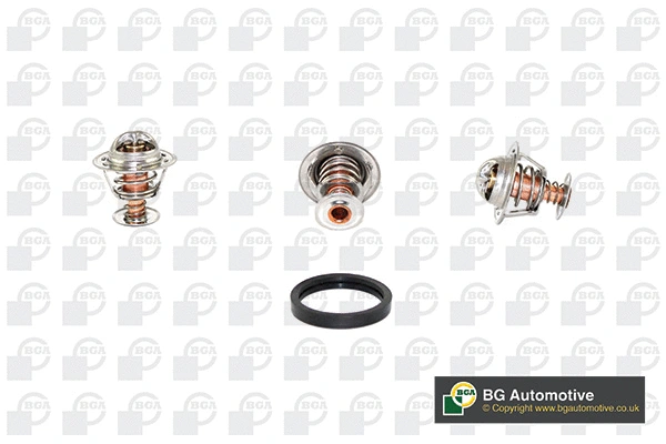 Thermostat, coolant (CT5441K)