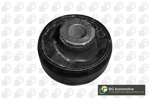 Mounting, control/trailing arm (BU8101)