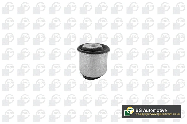 Mounting, control/trailing arm (BU0139)