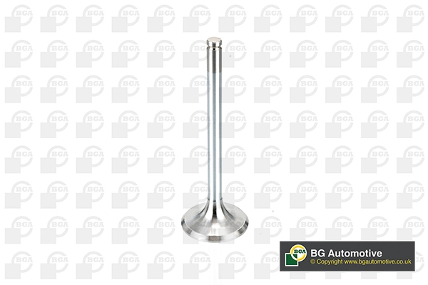 Intake Valve (V537746)