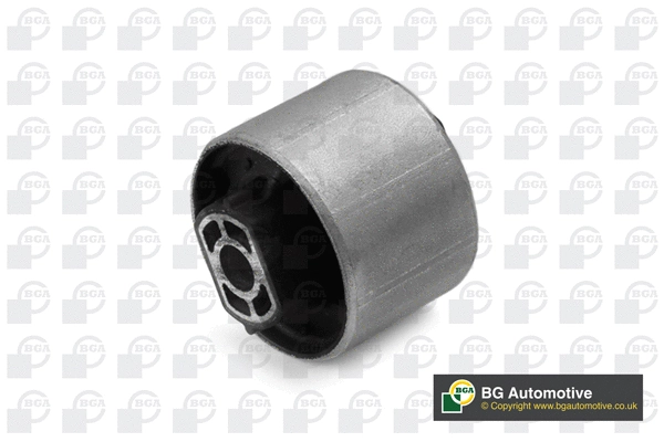 Mounting, control/trailing arm (BU0876)
