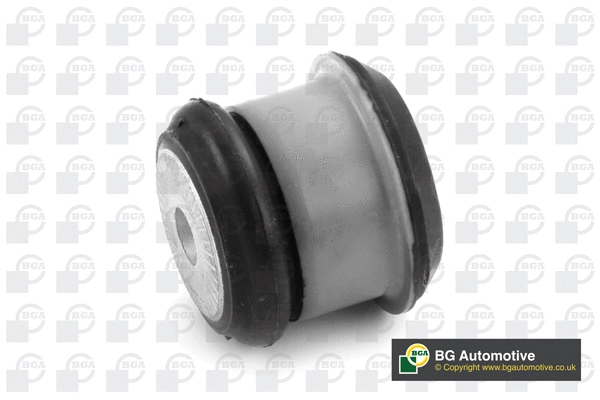 Mounting, engine (MT9113)