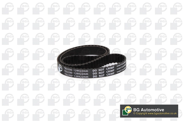 Timing Belt (TB2200)