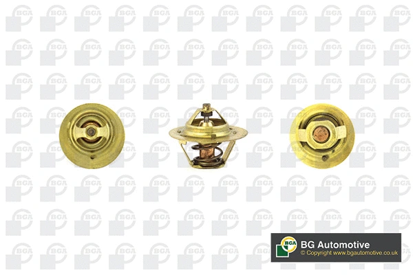 Thermostat, coolant (CT5487)