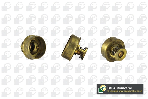 Thermostat, coolant (CT5437)