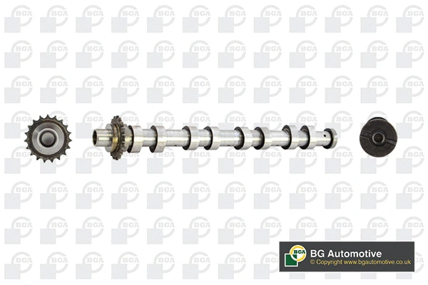 Camshaft (CS5538)