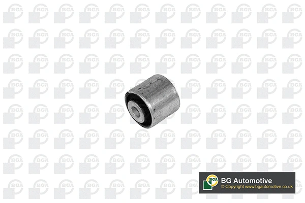 Mounting, control/trailing arm (BU0138)