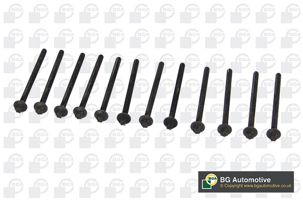 Cylinder Head Bolt Set (BK4305)