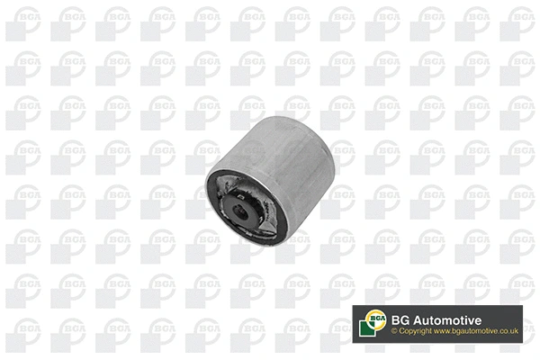 Mounting, control/trailing arm (BU0133)