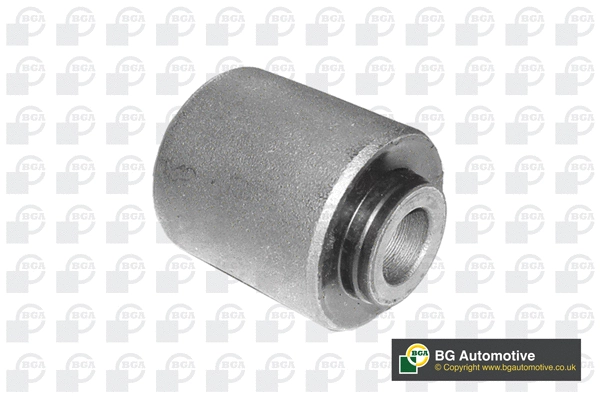 Mounting, control/trailing arm (BU4296)