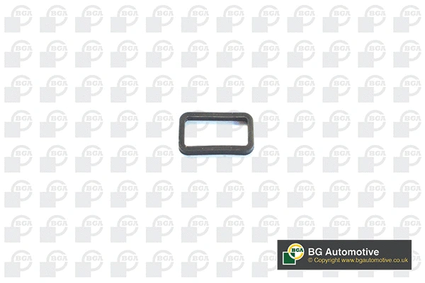 Gasket, timing case (AH5600)