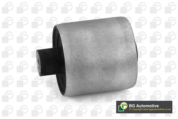 Mounting, control/trailing arm (BU0413)