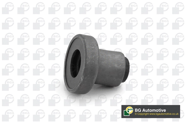 Mounting, control/trailing arm (BU9666)