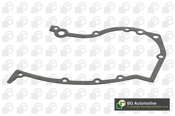 Gasket, timing case (AH0170)