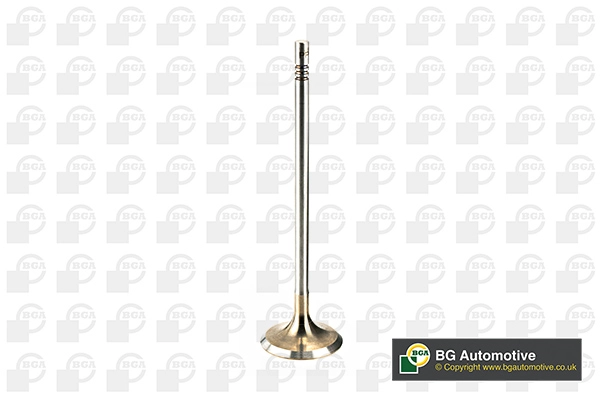 Intake Valve (V205096)