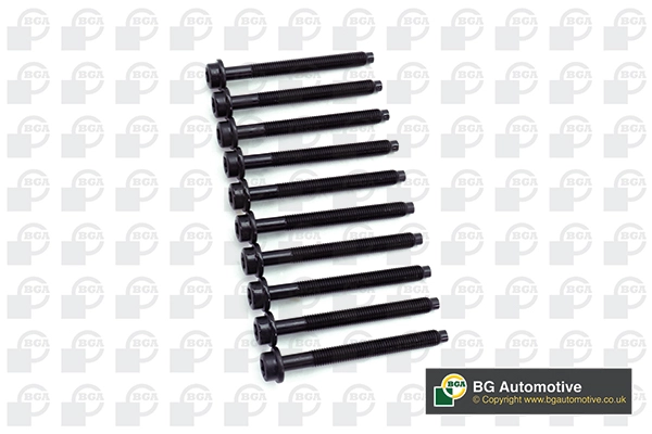 Cylinder Head Bolt Set (BK6384)