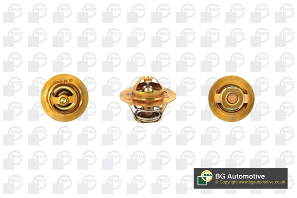 Thermostat, coolant (CT5546)