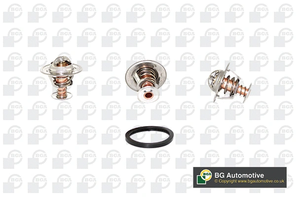 Thermostat, coolant (CT5396K)