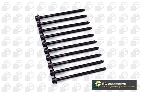 Cylinder Head Bolt Set (BK4301)