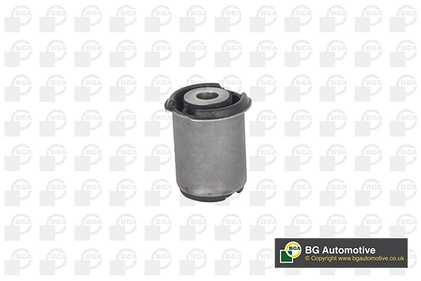 Mounting, control/trailing arm (BU4233)
