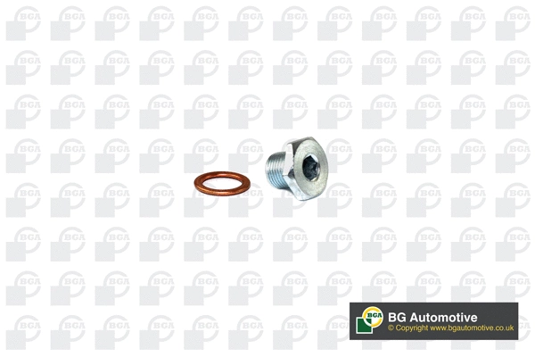 Screw Plug, oil sump (PK1402)