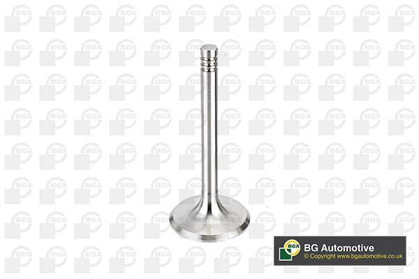 Intake Valve (V033313)