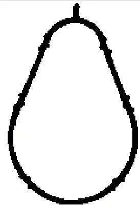 Gasket, intake manifold (MG8560)