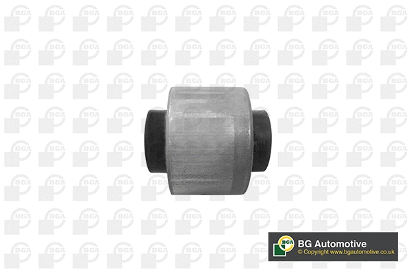 Mounting, control/trailing arm (BU0117)