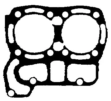 Gasket, cylinder head (CH9366)