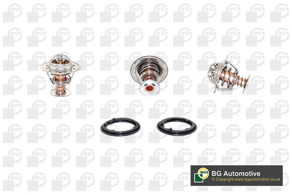 Thermostat, coolant (CT5344K)