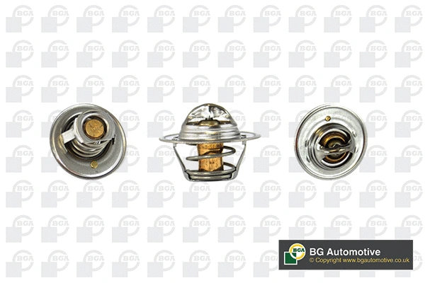 Thermostat, coolant (CT5516)