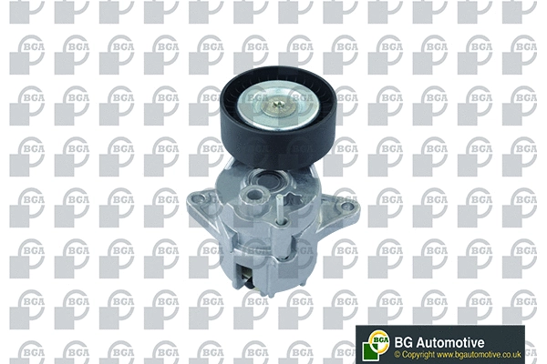 Tensioner Lever, V-ribbed belt (DC5602)