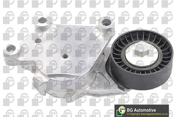 Tensioner Lever, V-ribbed belt (DC0904)