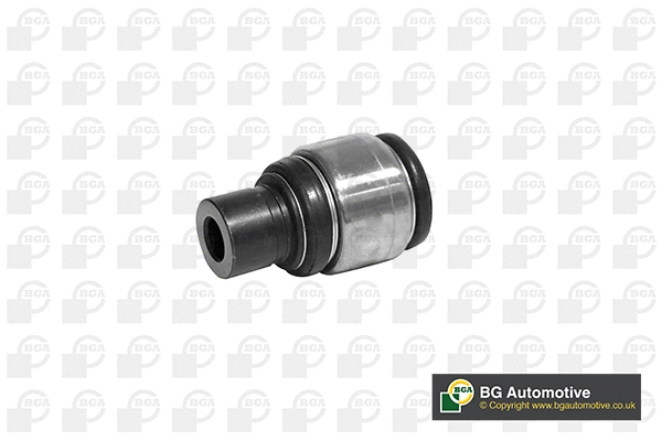 Mounting, control/trailing arm (BU3316)