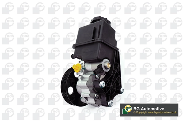 Hydraulic Pump, steering (PSP5669)