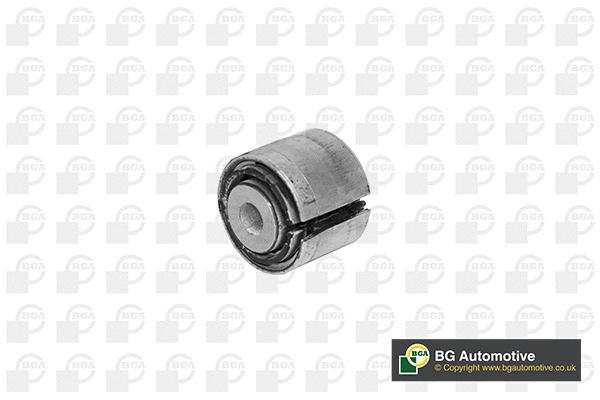 Mounting, control/trailing arm (BU0119)