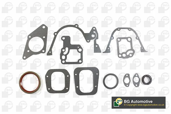Gasket Kit, crankcase (CK1376)