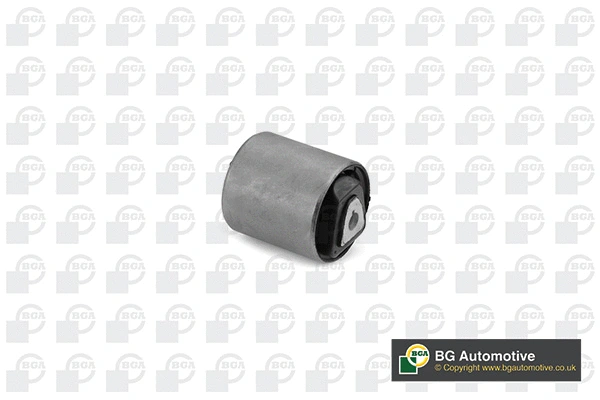 Mounting, control/trailing arm (BU0924)