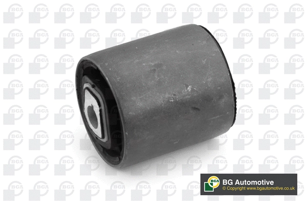 Mounting, control/trailing arm (BU0961)