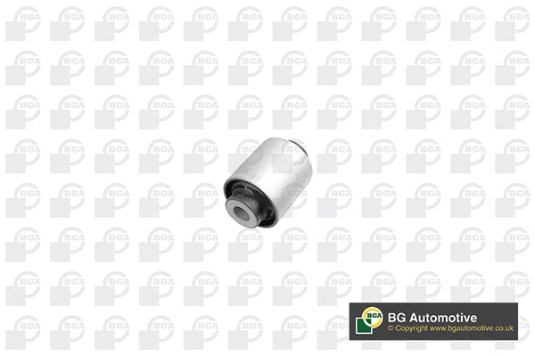 Mounting, control/trailing arm (BU5670)