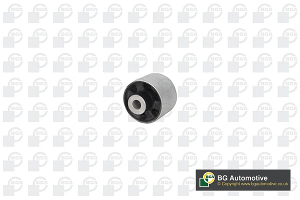Mounting, control/trailing arm (BU0926)