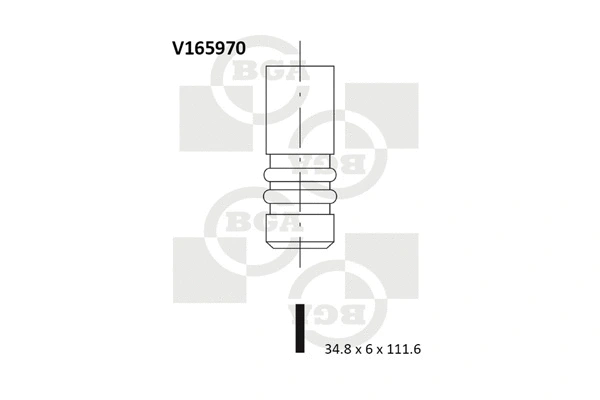 Intake Valve (V165970)