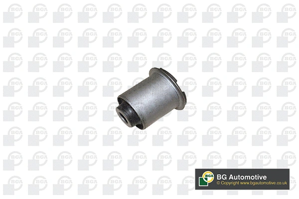 Mounting, control/trailing arm (BU3617)