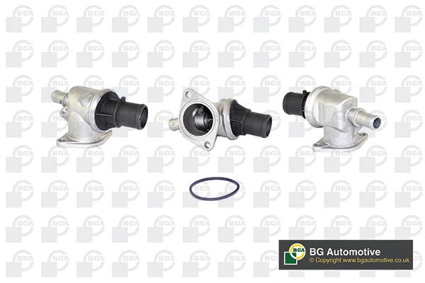 Thermostat, coolant (CT5099)