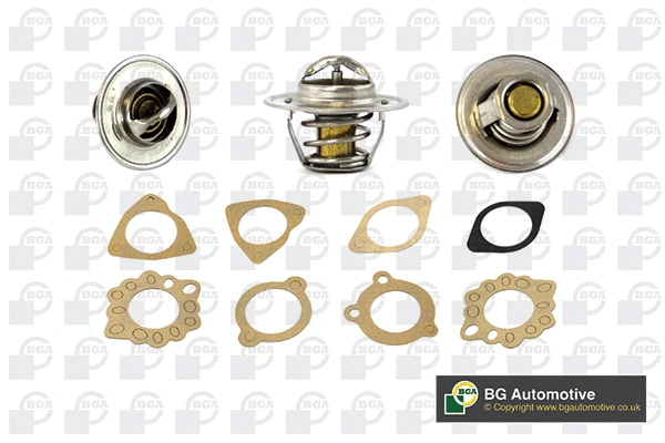 Thermostat, coolant (CT5529K)