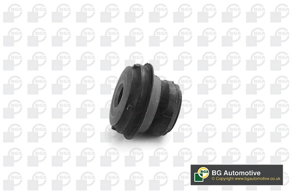 Mounting, control/trailing arm (BU9932)