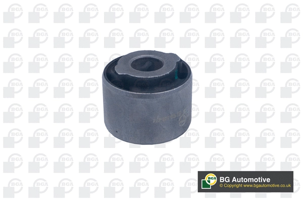 Mounting, control/trailing arm (BU4303)