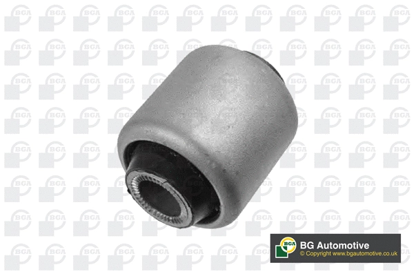 Mounting, control/trailing arm (BU0976)